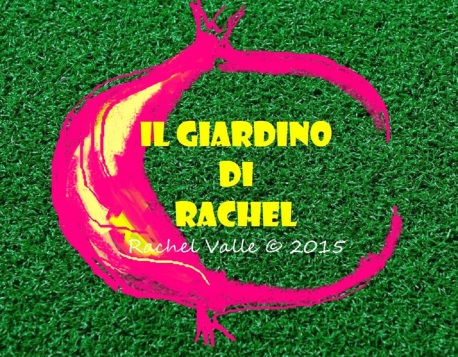logo Rachel